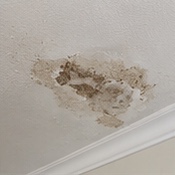 Existing ceiling damage
